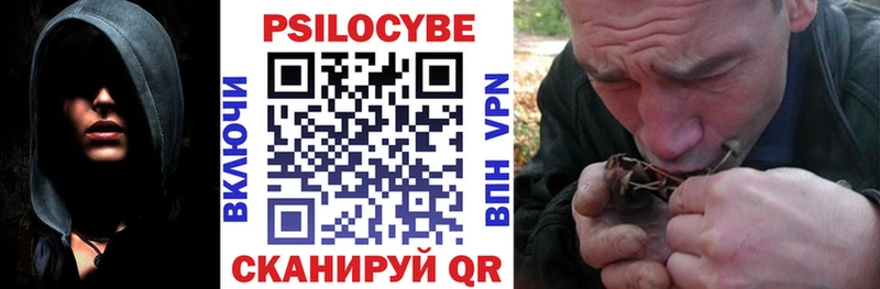 Псилоцибиновые грибы ЛСД  где купить наркоту  Торжок 